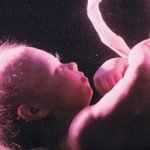  Внутрішньоутробне розвиток дитини. 25, 26, 27, 28 тиждень (7 місяць) + фото та відео
