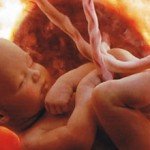  Внутрішньоутробне розвиток дитини. 29, 30, 31, 32 тиждень (8 місяць) + фото та відео