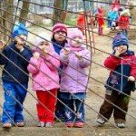  Режим дня у дитячому садку 