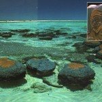  Наочні свідоцтва минулого Землі